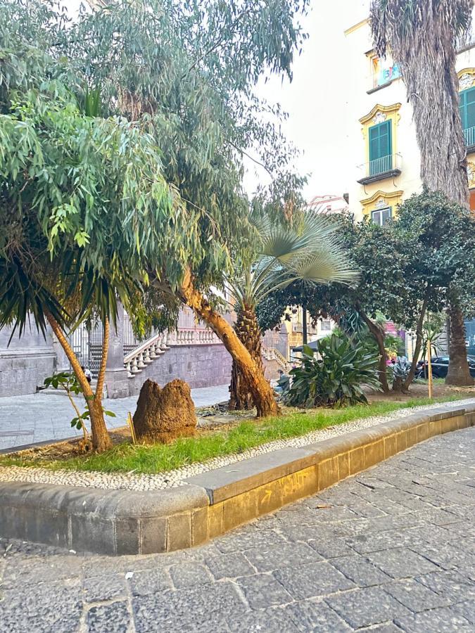 Carma Napoli